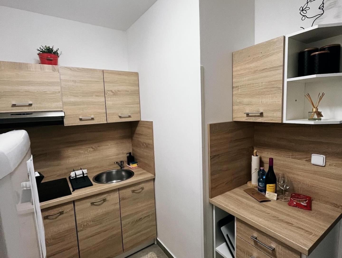 Fara No71 Apart 2 Libice nad Cidlinou Eksteriør bilde